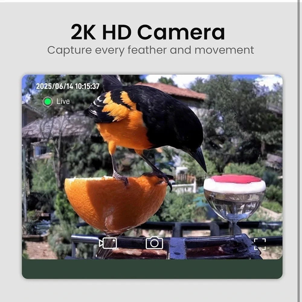 Smart Bird Feeder with Camera Solar Powered, 2K HD Video, AI Bird Species Identi